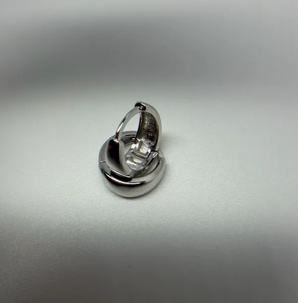 Silver color Stainless Steel Hoops Earrings - Image 6