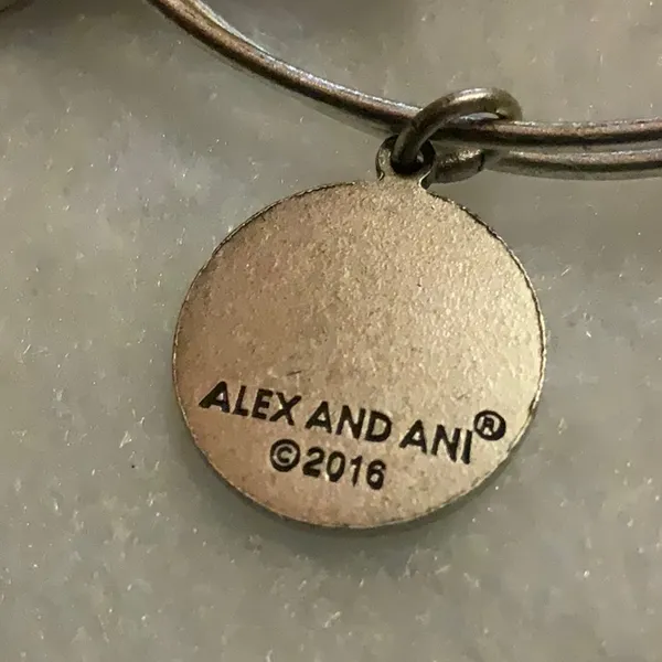 Alex and Ani NWT - Image 2