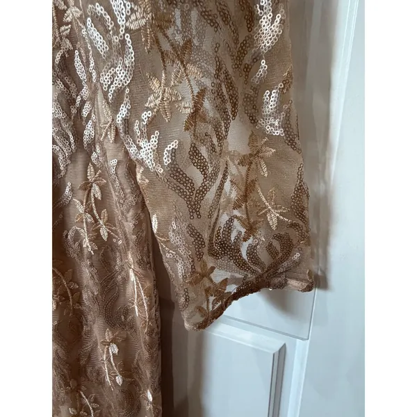 Eliza J Champagne Sequin Lace Long Sleeve Formal Gown Size 14 Evening - Image 6