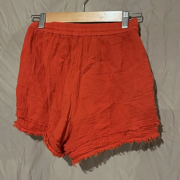 Anthropologie shorts - Image 3