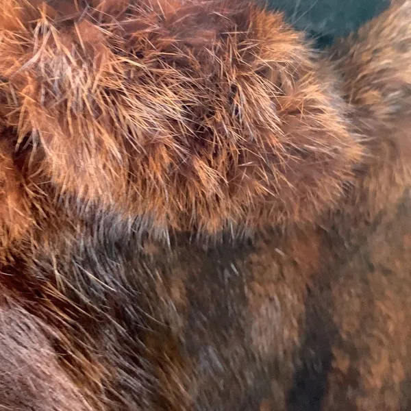 Luxury Vintage Real Fur 1940s Mink Cape/Vest/Stole Mint Condition Mob Wife Vibe - Image 12