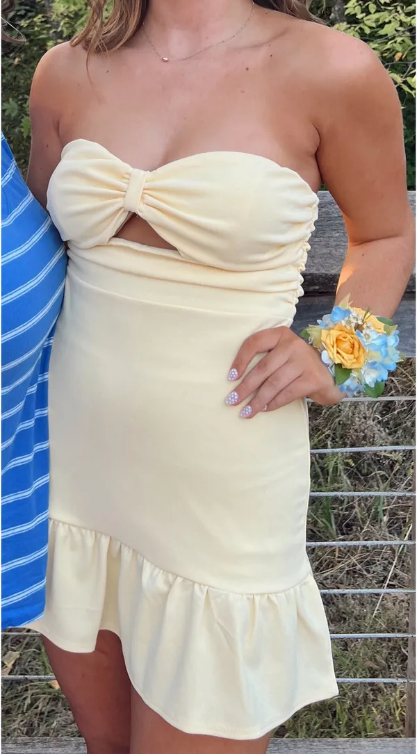 Lulus Mini Dress - Image 4