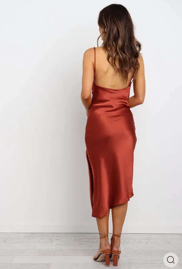 Petal & Pup Dress - Image 2