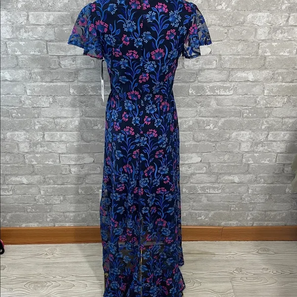 Kensie Blue and Pink Embroidered Floral Maxi Dress - Image 4