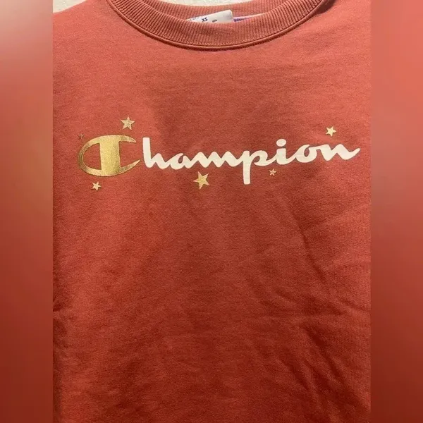 Champion crew neck rust brown stars gold white lettering academia gorpcore norm - Image 2