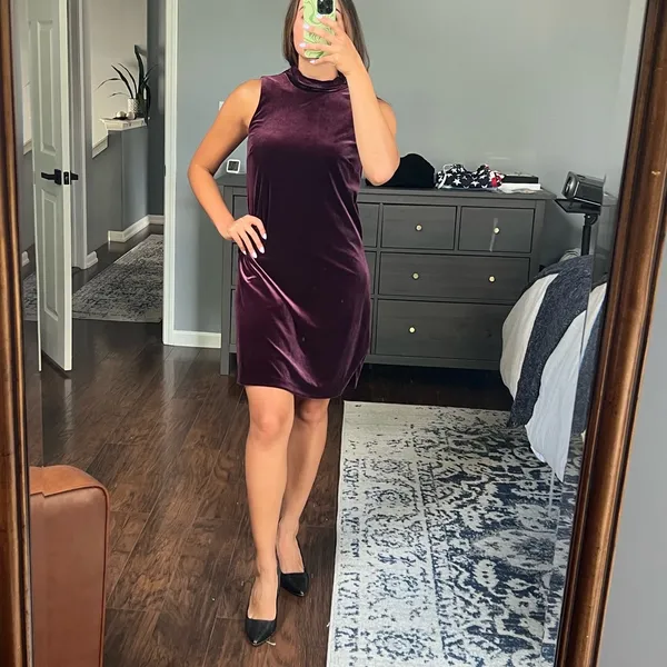 Ann Taylor Plum Velvet Dress - Image 5