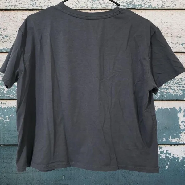 Grayson Threads Texas Star Cropped Tee - Image 4