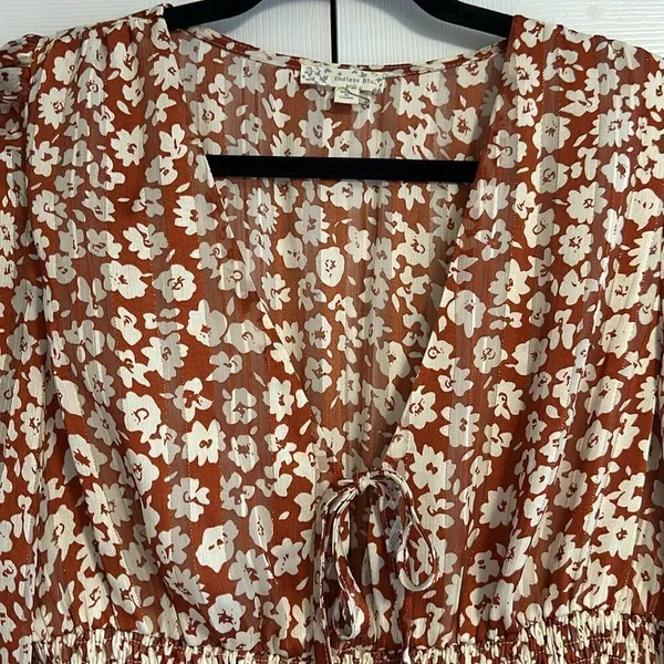 Endless Blue Women’s Dress, Brown with Floral and Gold Pinstripes, Size L - Image 2