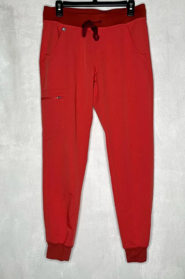 FIGS Zamora Jogger Scrub Pants - Image 4