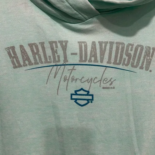 Harley-Davidson Women's Light Green Hoodie Large - Image 2