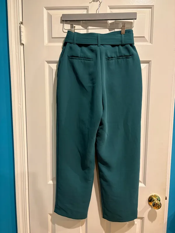 Aritzia Wilfred belt waist cropped crepe pants sz 8 teal - Image 3