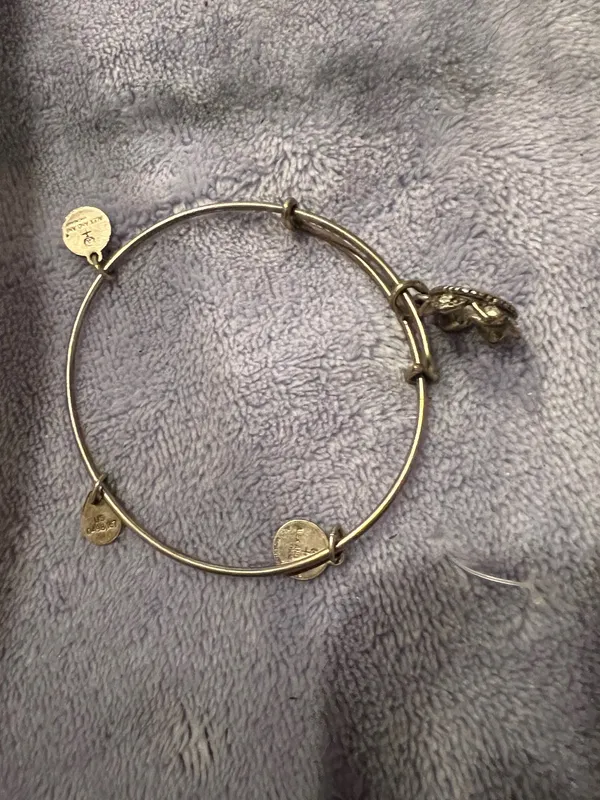 Alex and Ani Bracelet - Image 2