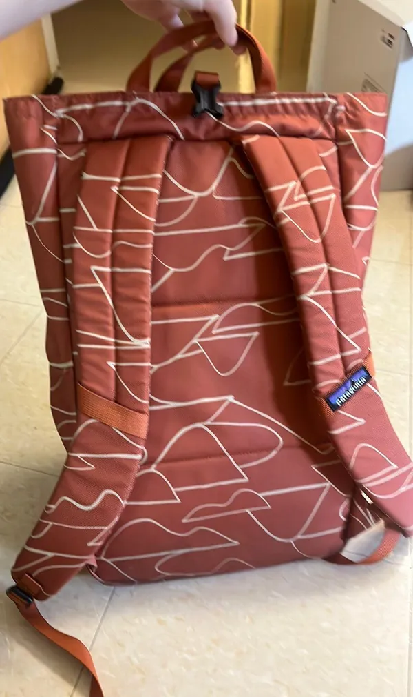 Patagonia Backpack - Image 2