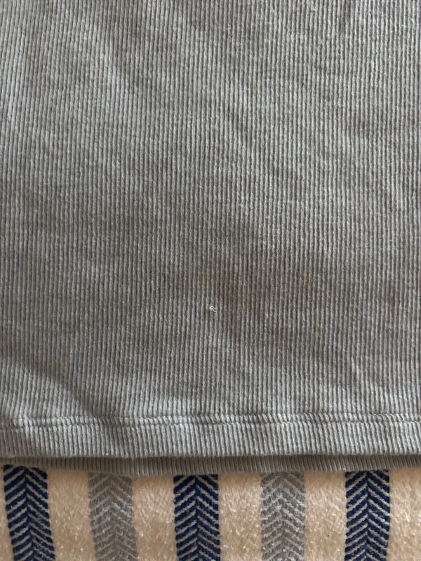 Aritzia Baby Tee TNA Cropped Blue - Image 5