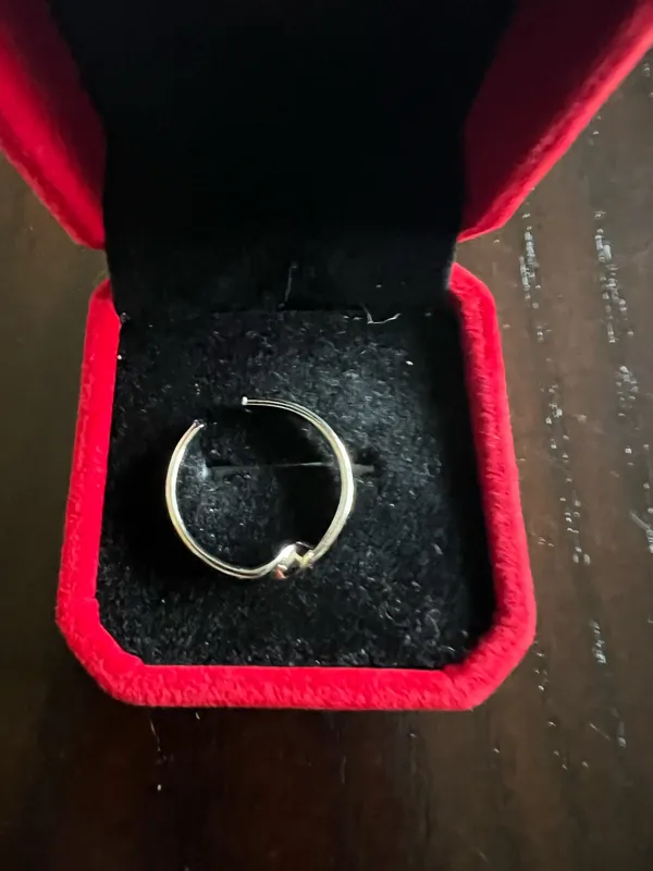 Gorgeous Stainless Steel Silver Adjustable Ring Size 7 - Image 3