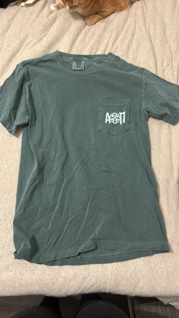 Comfort Colors T-Shirt Sorority - Image 3