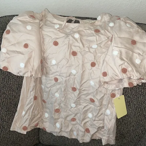 ✨HP✨Embroidered Polka Dot Puff Sleeves Blouse✨ Brown Size L - Image 5