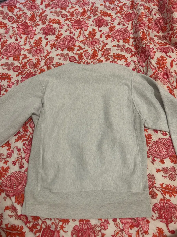 Wisconsin Champion Crewneck - Image 4