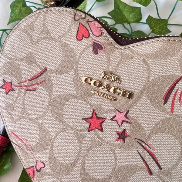Coach Heart Crossbody In Signature Canvas With Heart And Star Print ck523 - Image 2