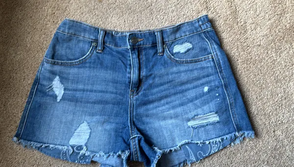 Aerie Shorts - Image 2