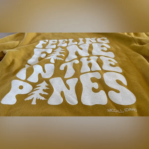 Good land supply co ‘feeling fine in the pine’ McCall Idaho hoodie XL - Image 2