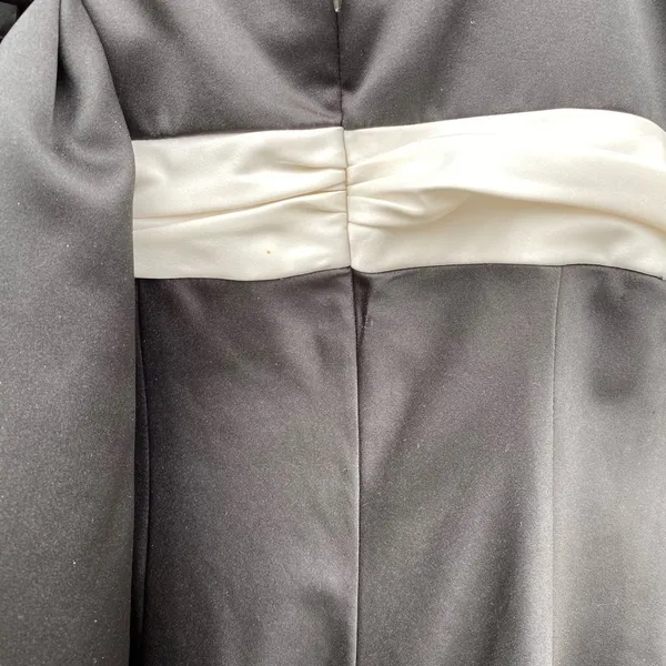 Vintage‎ Cinderella Divine Dress - Image 6
