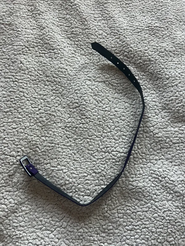 Belt Blue - Image 2