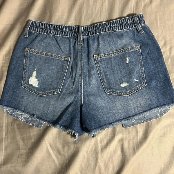 Aerie Distressed Blue Jean Shorts Size M - Image 3