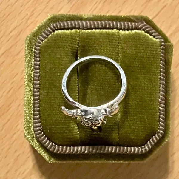 Bull Skull Ring Silver Longhorn Titanium Steel Silver Ring Size 6 - Image 3