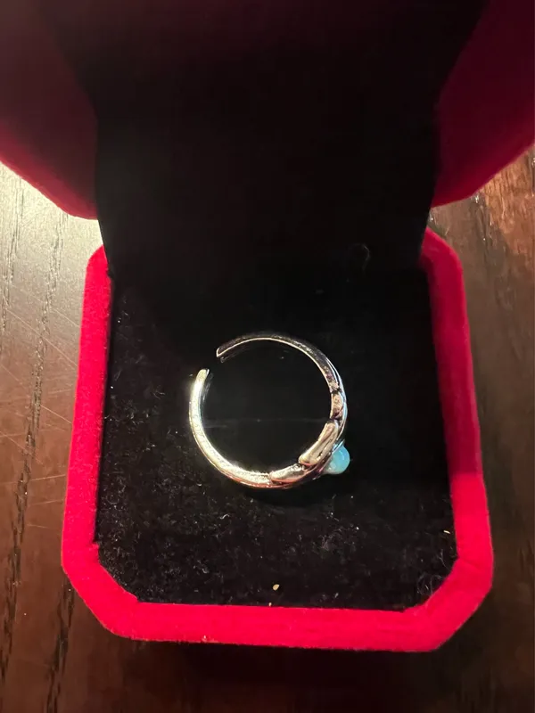 Stainless Steel Silver Plated Boho-Western Style Ring Size 7 - Image 3