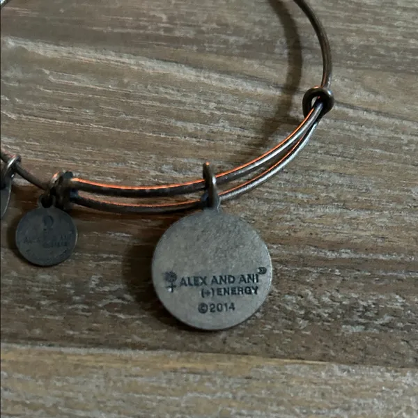 Alex and Ani Rustic Silver Charm Bracelet - Image 2