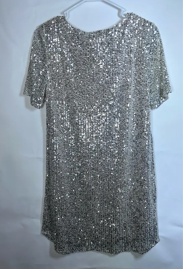 BB Dakota Steve Madden Silver Sequin Mini Shift Dress Size M - Image 4