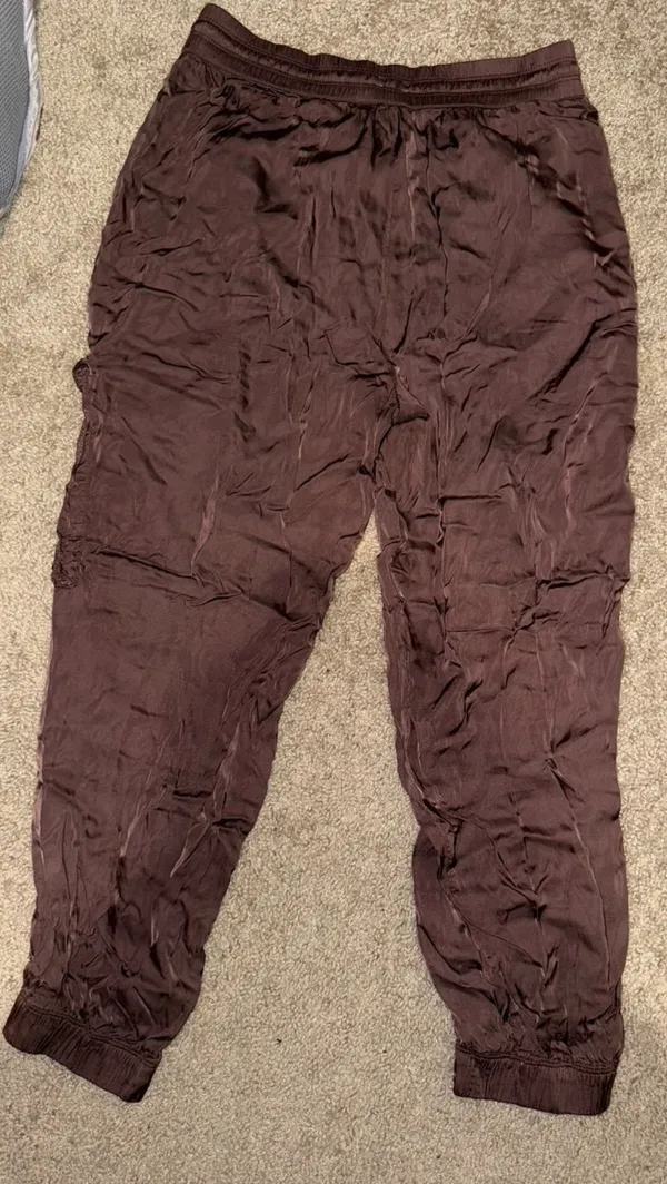 Aerie silk joggers - Image 2