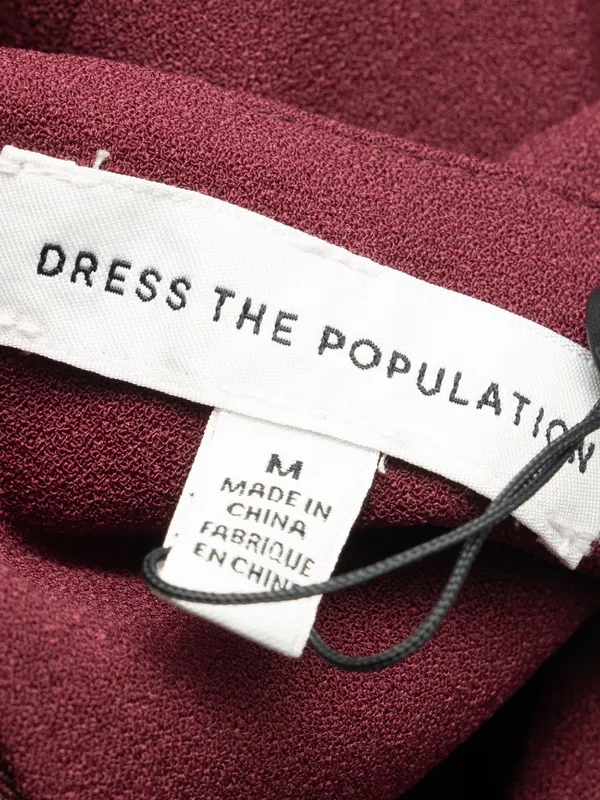 Dress The Population – Nicole Dress‎ - Image 13