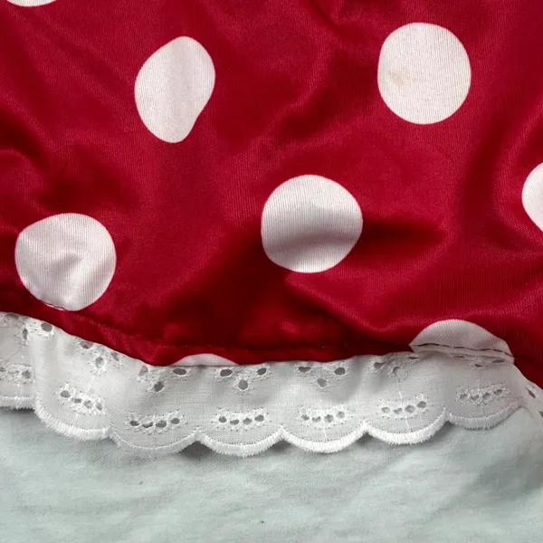 Little Miss Mouse Red Polka Dot Dress & Sash only. Sz M Halloween Costume Adult - Image 3