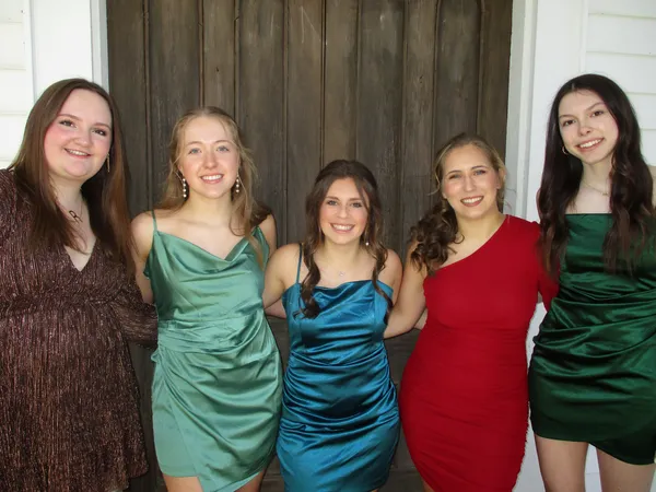 Green Dress - Image 6