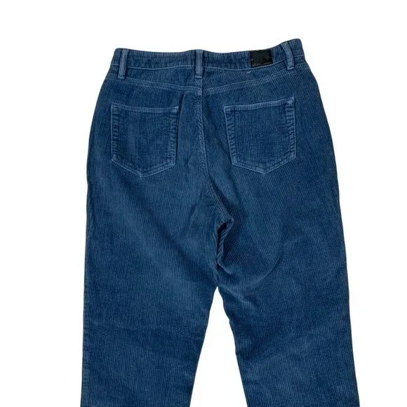BDG‎ Urban Outfitters Blue Corduroy Mom Jeans High Rise Tapered Leg 28 - Image 5