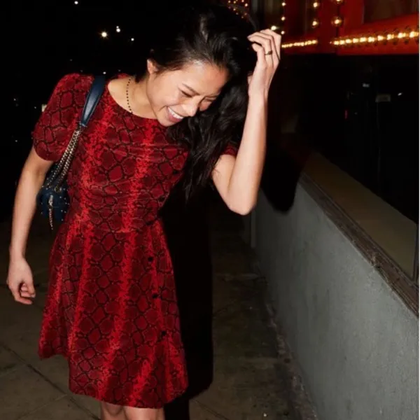 Red Black Python Snake Print Silk Blend Fit and Flare Dress - Image 2