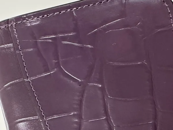 Coach Morgan Crossbody Purse Amethyst - Image 5