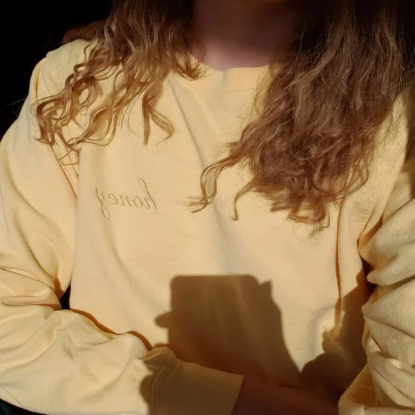 Brandy Melville Crewneck Honey - Image 2