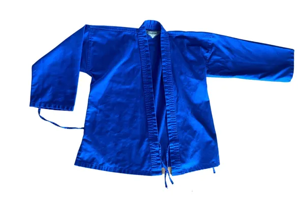 Amazing 2-piece Electric Blue Martial Arts Gear Uniform Set 🔥 - Image 2