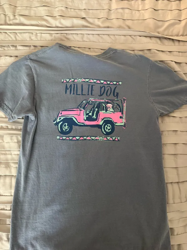 Comfort Colors T-Shirt - Image 2