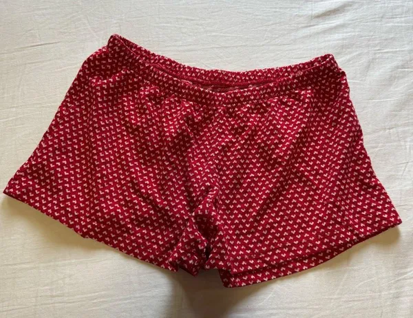 Brandy Melville - EMERY HEARTS SHORTS - Image 4