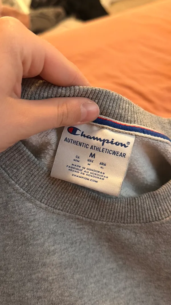 Champion Crewneck Grey - Image 3