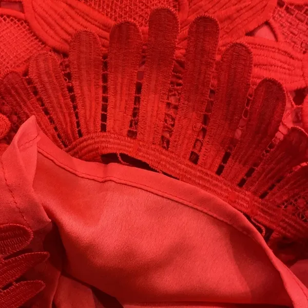 Lovers + friends Caspian red lace sleeveless party cocktail dress size xsmall - Image 15
