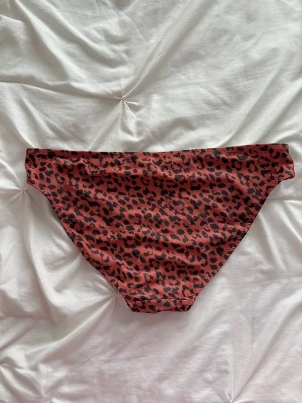 Aerie Cheetah Bikini Bottoms - Image 2