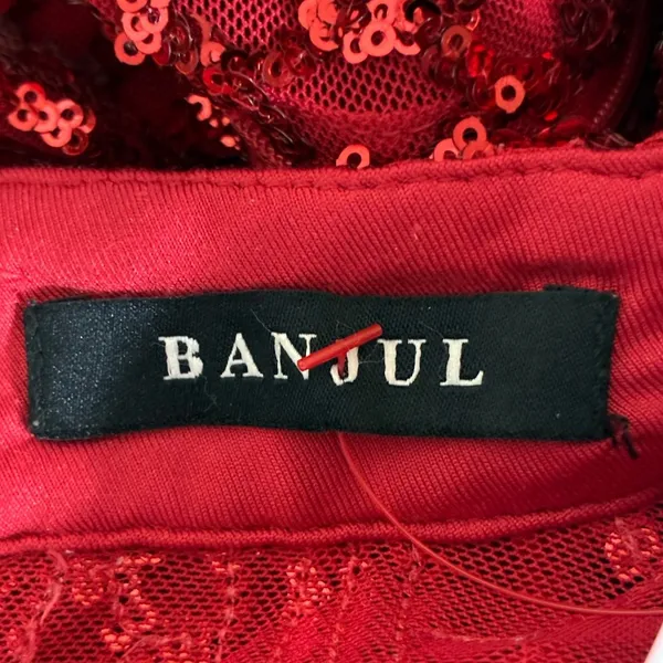 NWT Banjul Diva Boutique Sequin Mesh Mini Dress Red Glam Holiday Party Size L - Image 5