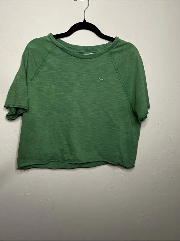 Victoria's Secret PINK Green Raglan Puppy Logo Raw Hem Cropped Tee - Image 2