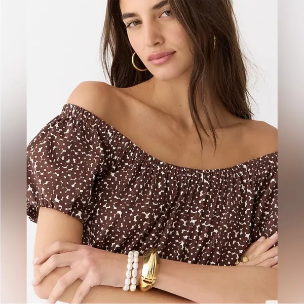 J. Crew Drop-waist cotton poplin mini dress in mocha floral Size 10 New - Image 4