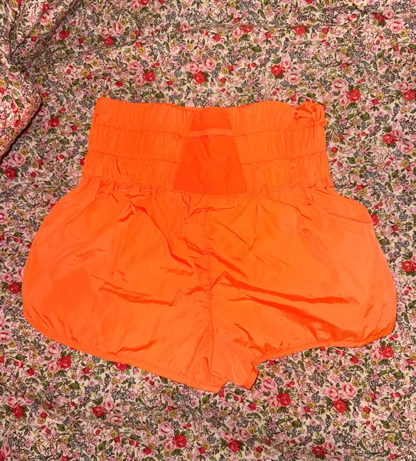Free People Shorts - “The Way Home” - Image 2